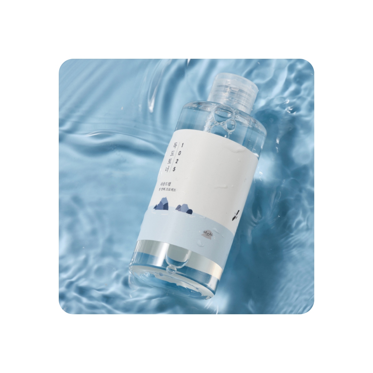 Tónicos al mejor precio: Round Lab 1025 Dokdo Toner 100ml de Round Lab en Skin Thinks - Piel Seca