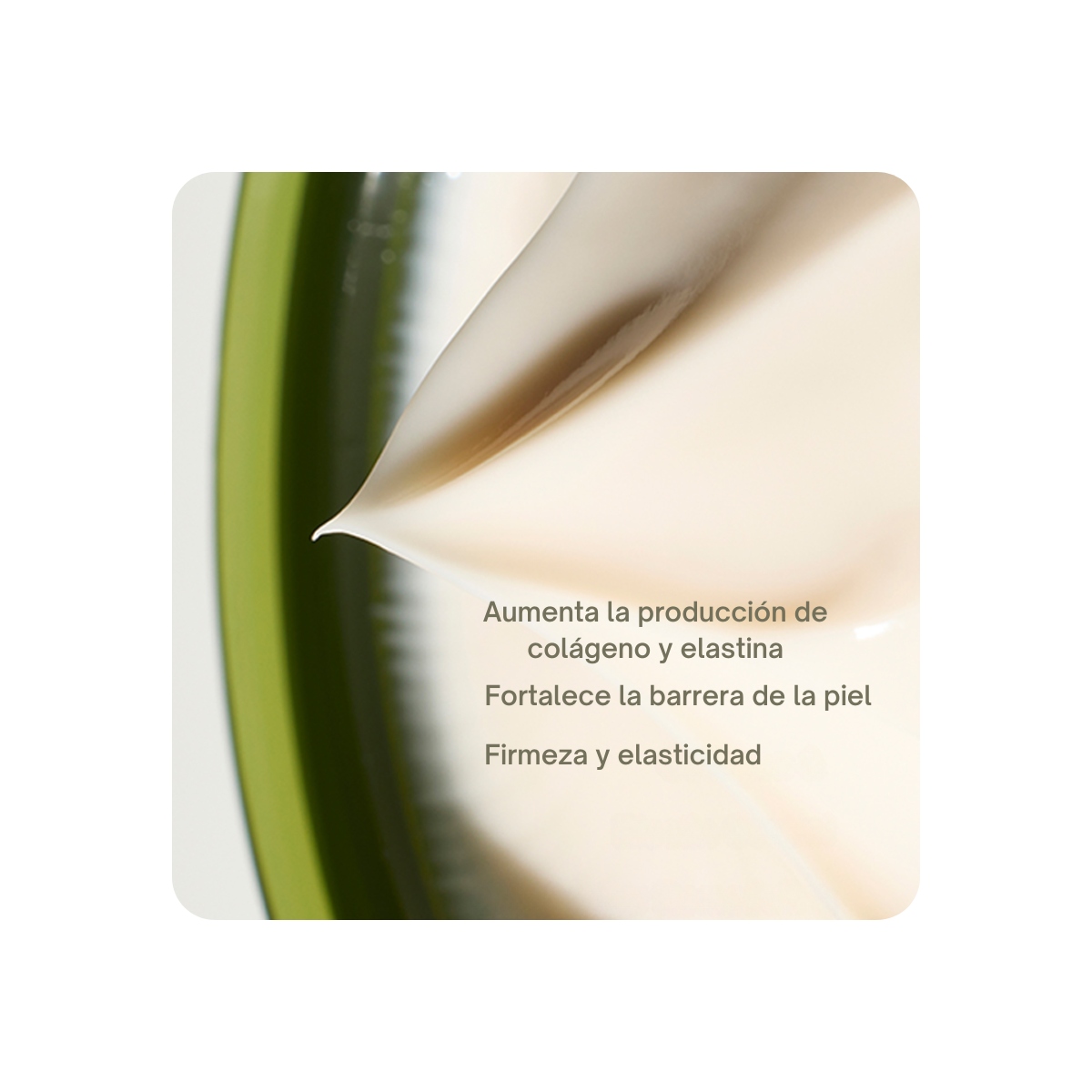 Emulsiones y Cremas al mejor precio: Crema Reafirmante con Péptidos Mizon Peptide Ampoule Cream de Mizon en Skin Thinks - Piel Seca